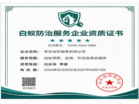 南宁市邕宁区绿色环保推广产品荣誉证书